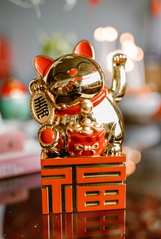 giấy phép New88